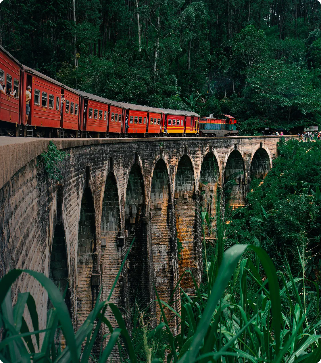 Amazing Ceylon